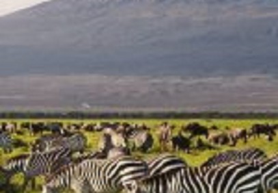 3 Days Amboseli Luxury Safari