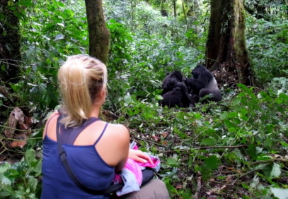 3 Days Uganda Gorilla Habituation Safari