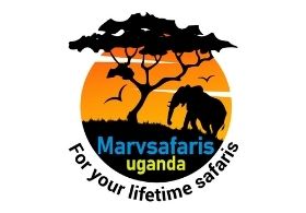 Marv Safaris Uganda