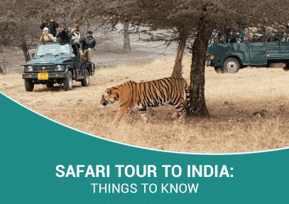 Safari Tour to India: Things to Know