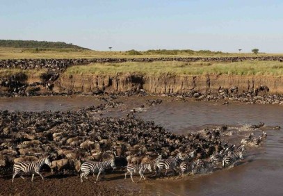 8-Day Great Wildebeest Migration Safari