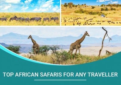 Top African Safaris for any Traveller