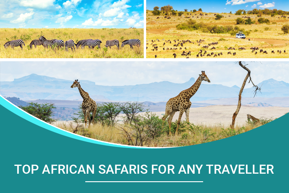 Top African Safaris for any Traveller