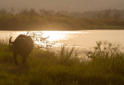 4-Day Rwanda Gorilla and Cultural Village Tour