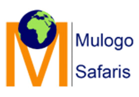 Mulogo Safaris