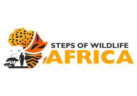 Steps Of Wildlife Africa