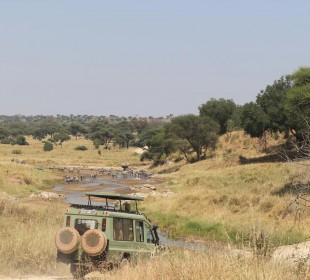 3 Days Tarangire National Park