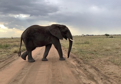 10-Day Tanzania and Zanzibar Safari