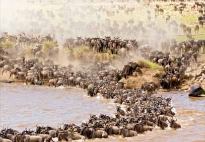 3 Days Tanzania Great Migration Safari from Zanzibar