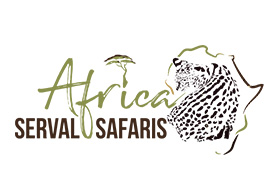 Africa Serval Safaris