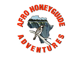 Afro Honeyguide Adventures