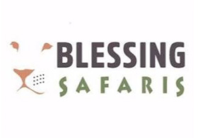 Blessing Safaris