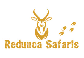Redunca Safaris