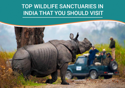 Top Wildlife Sanctuaries in India That You Should Visit