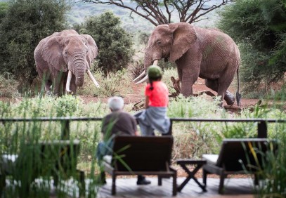 The Best of Kenya