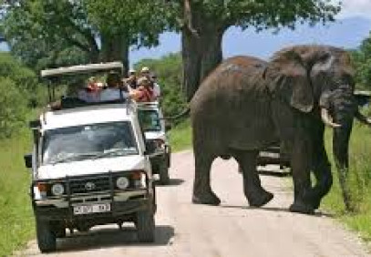3 Days Northern Tanzania Shining Safari