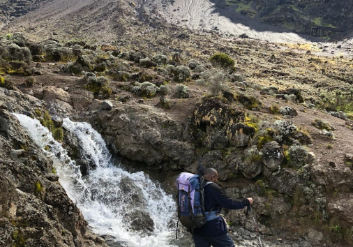 32328380 158396461670238 8476383666807767040 N