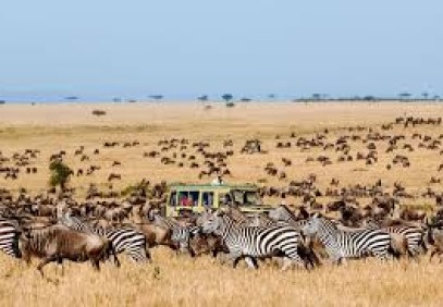6 Days Serengeti Migration Safari