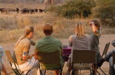 2 Days Highlights of Tarangire and Manyara National Park