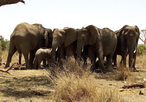 59963841 2289454321272885 6011261984400474112 N Copy