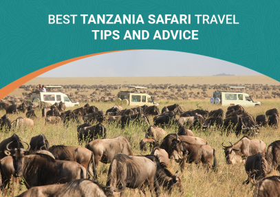 Best Tanzania Safari Travel Tips And Advice