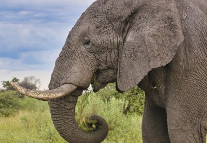6-Day Okavango Delta Experience