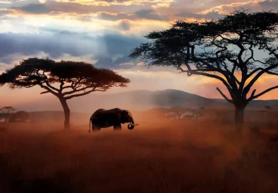 4 Days Tanzania Escapade Safari