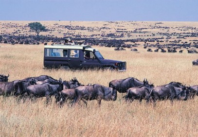 3-Day Masai Mara Migration Safari
