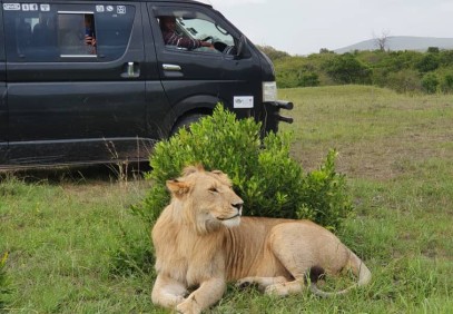 6-Day Masai Mara, Lake Nakuru, Amboseli Safari