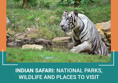 Indian Safari: National Parks, Wildlife and Places to Visit