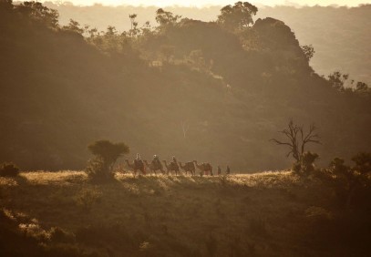 Exploring Kenya – Laikipia & Maasai Mara