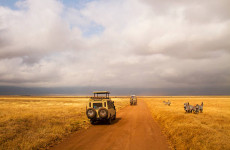 4 Days Tanzania Lodge Safari