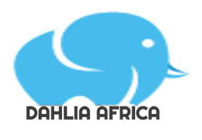 Dahlia Africa