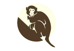 Grivet Tours and Safaris