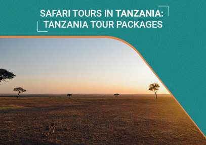 Safari Tours In Tanzania: Tanzania Tour Packages