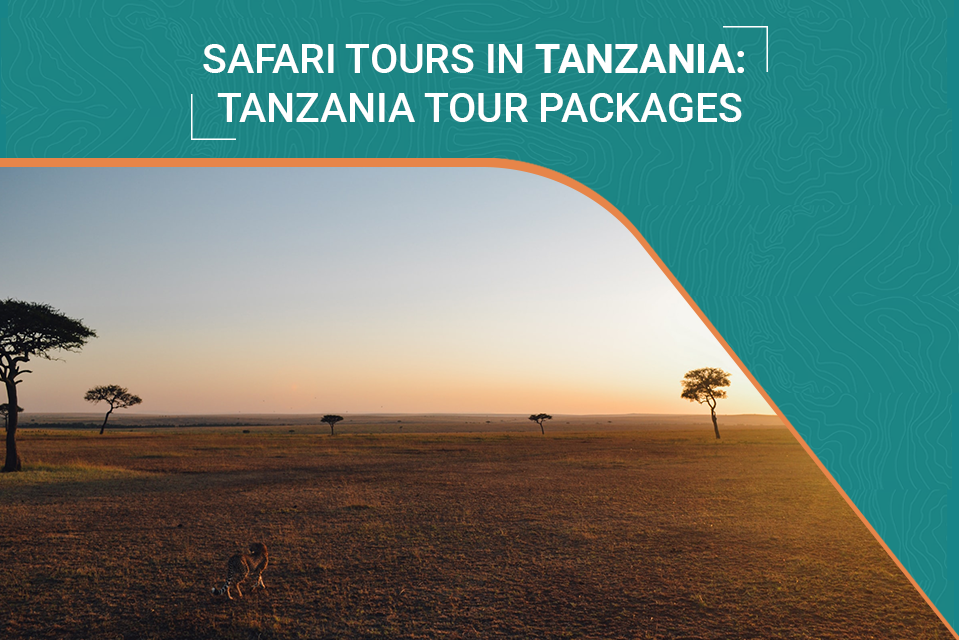 Safari Tours In Tanzania: Tanzania Tour Packages