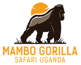 Mambo Gorilla Safaris Uganda