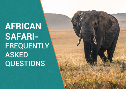 African Safari – Frequently Asked Questions