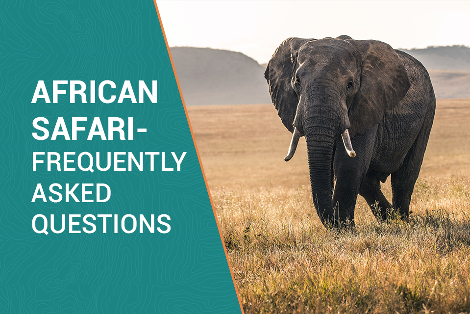 African Safari – Frequently Asked Questions