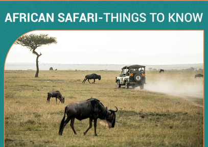 What You Need to Know Before Your African Safari