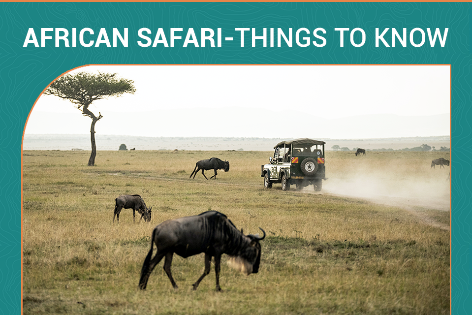 What You Need to Know Before Your African Safari
