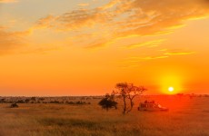 4 Days Camping Safari Tanzania