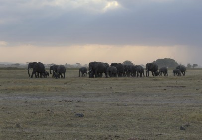 3 Days Amboseli National Park Luxury Safari