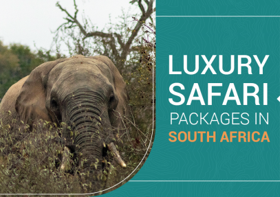 6 Best Luxury Safaris in South Africa