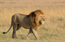 7 Days Rift Valley Trails