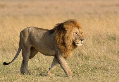 7 Days Rift Valley Trails