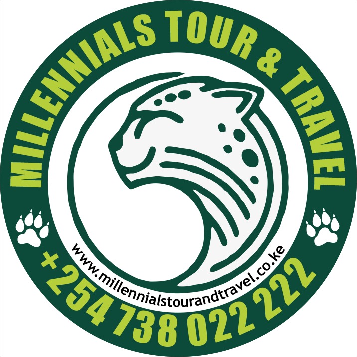 Millennials Tours and Travel