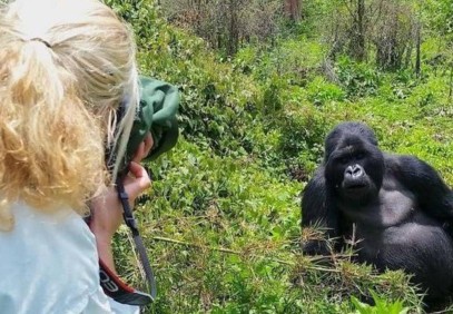 4 Days Luxury Gorilla Trekking & Lake Bunyonyi