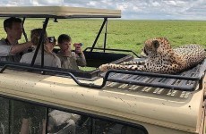 2-Day Tarangire National Park & Ngorongoro Crater