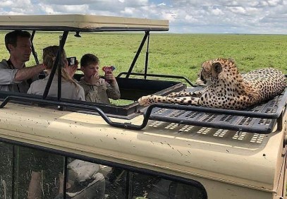 2-Day Tarangire National Park & Ngorongoro Crater